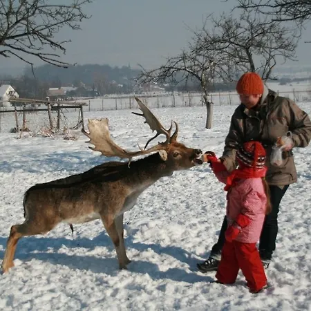 Bauernhof Ranczo Okole *