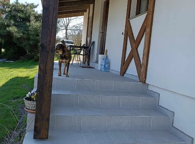 Κατάλυμα σε φάρμα Ranczo Okole