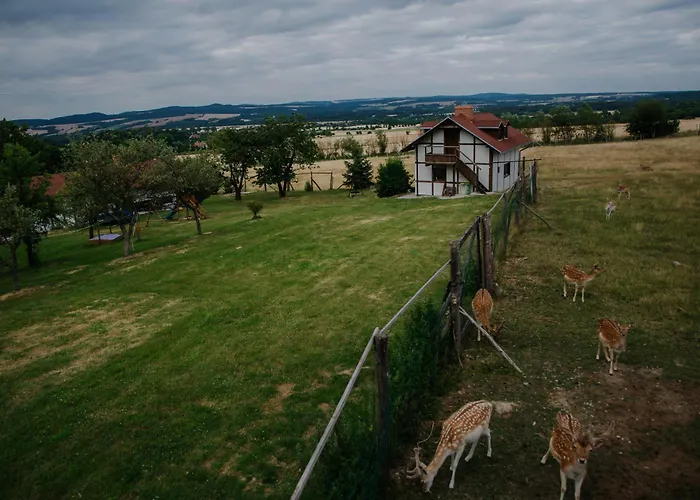 Vakantieboerderij Ranczo Okole Świerzawa