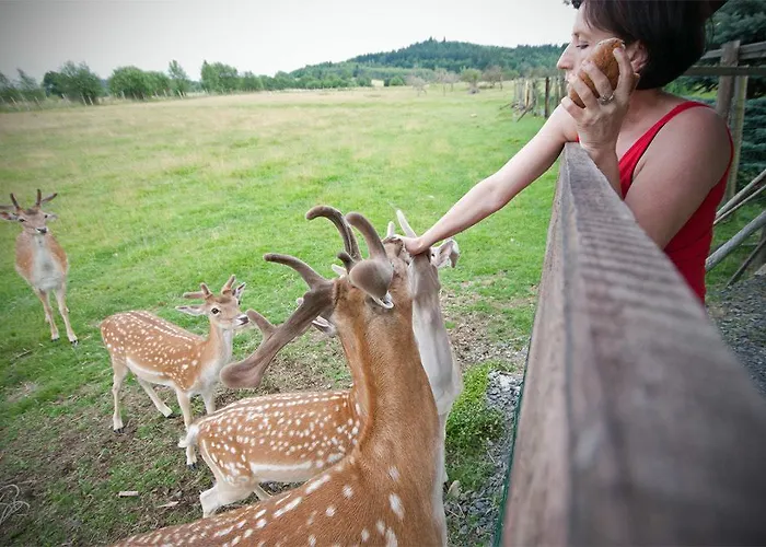 Κατάλυμα σε φάρμα Ranczo Okole