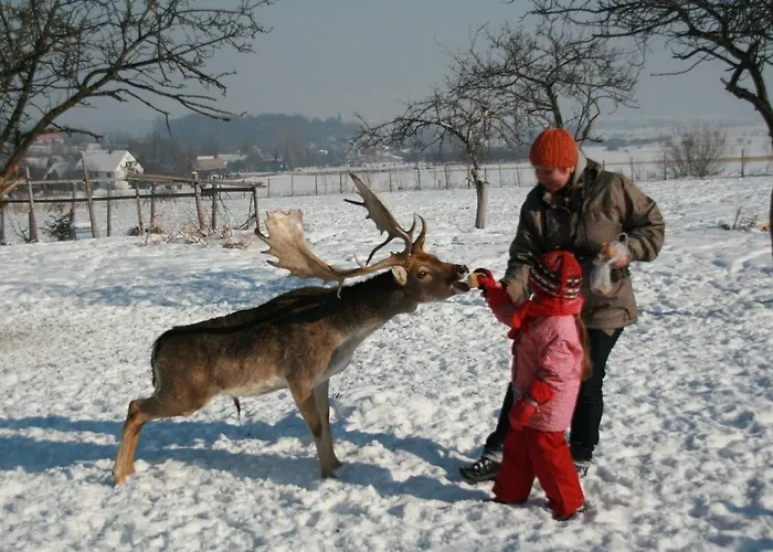 Vakantieboerderij Ranczo Okole *