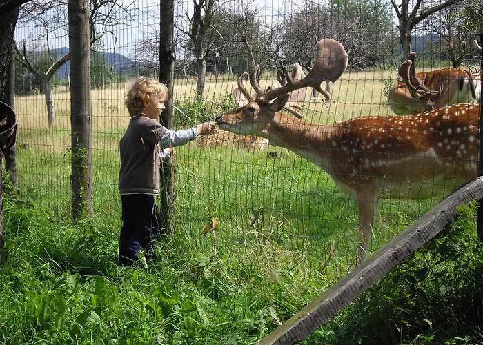 Ranczo Okole Świerzawa